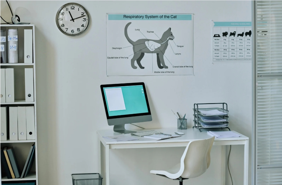 este es un colsutorio que se encuentra en en centro de tijuana