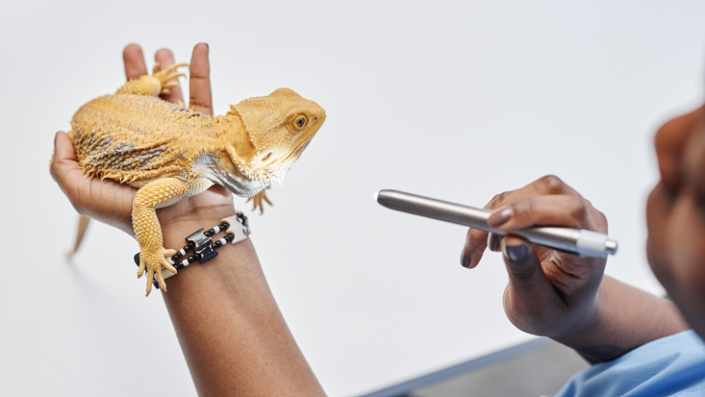 especialista en reptiles