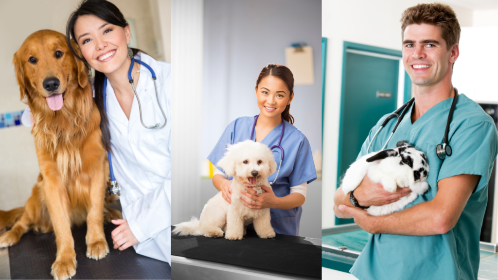 Los veterinarios especialistas en cuidado de tu mascota